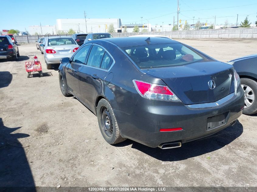 2013 Acura Tl VIN: 19UUA8F26DA800132 Lot: 12003863