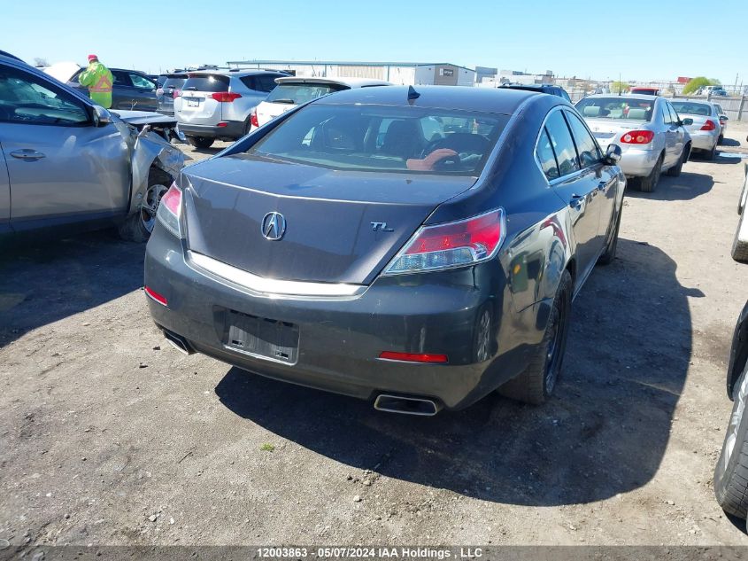 2013 Acura Tl VIN: 19UUA8F26DA800132 Lot: 12003863