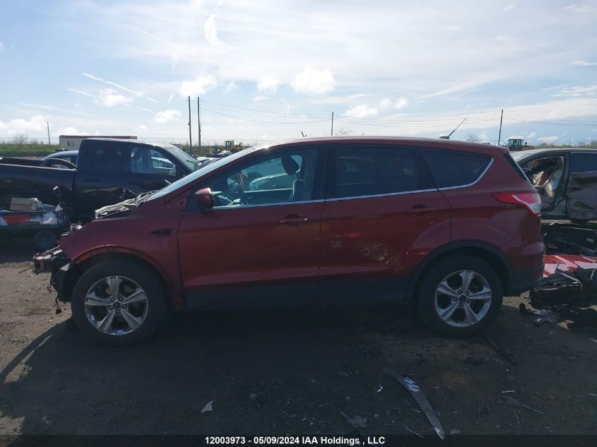 2014 Ford Escape Se VIN: 1FMCU0GX4EUE02491 Lot: 12003973