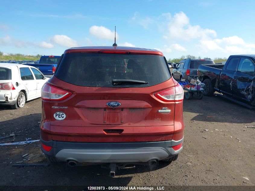 2014 Ford Escape Se VIN: 1FMCU0GX4EUE02491 Lot: 12003973