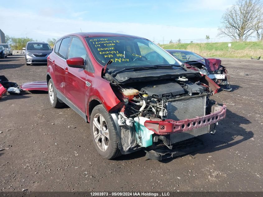 2014 Ford Escape Se VIN: 1FMCU0GX4EUE02491 Lot: 12003973