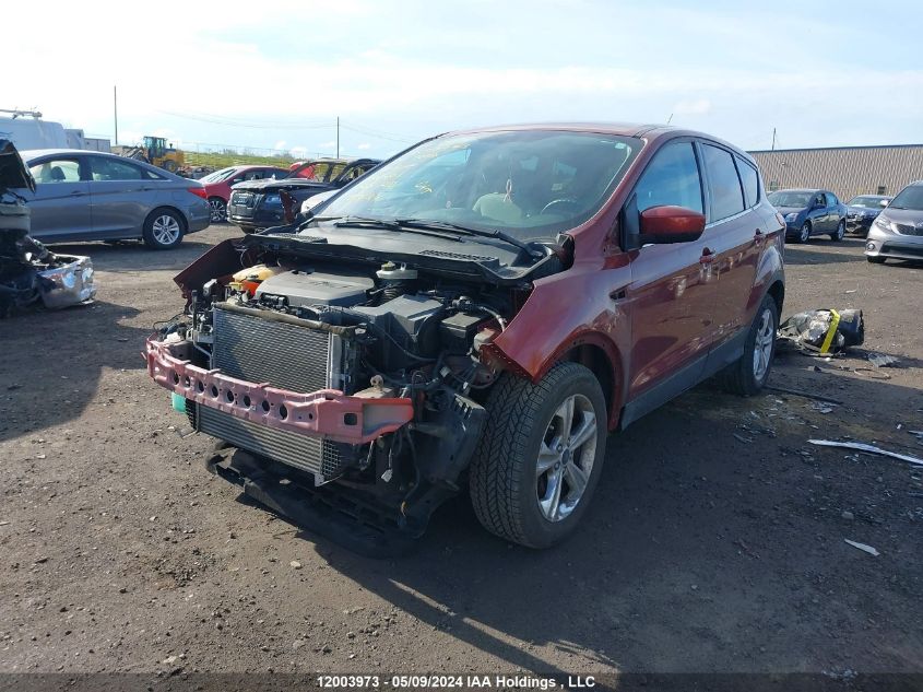 2014 Ford Escape Se VIN: 1FMCU0GX4EUE02491 Lot: 12003973