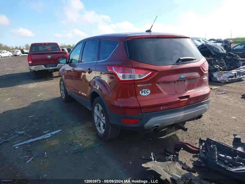 2014 Ford Escape Se VIN: 1FMCU0GX4EUE02491 Lot: 12003973