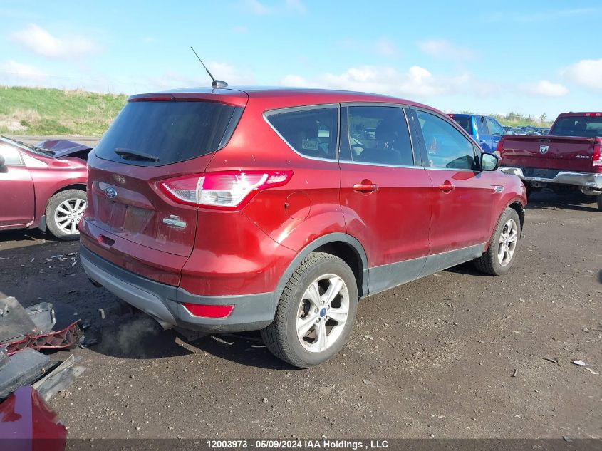 2014 Ford Escape Se VIN: 1FMCU0GX4EUE02491 Lot: 12003973