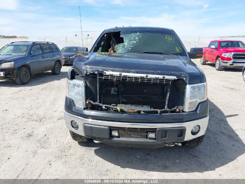 2013 Ford F-150 Xlt VIN: 1FTFX1ETXDFB32927 Lot: 12004035