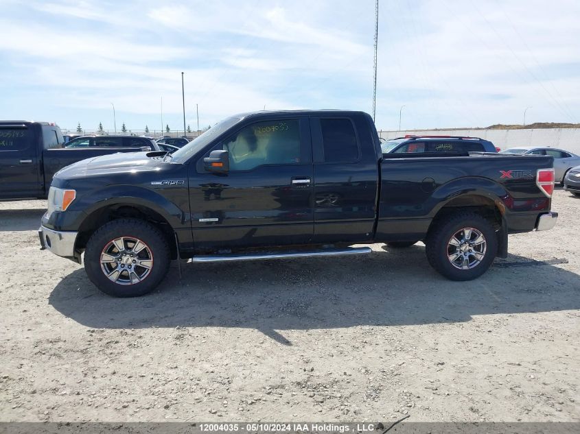 2013 Ford F-150 Xlt VIN: 1FTFX1ETXDFB32927 Lot: 12004035