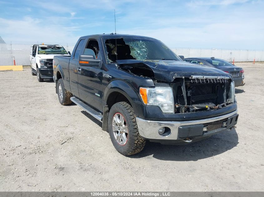 2013 Ford F-150 Xlt VIN: 1FTFX1ETXDFB32927 Lot: 12004035