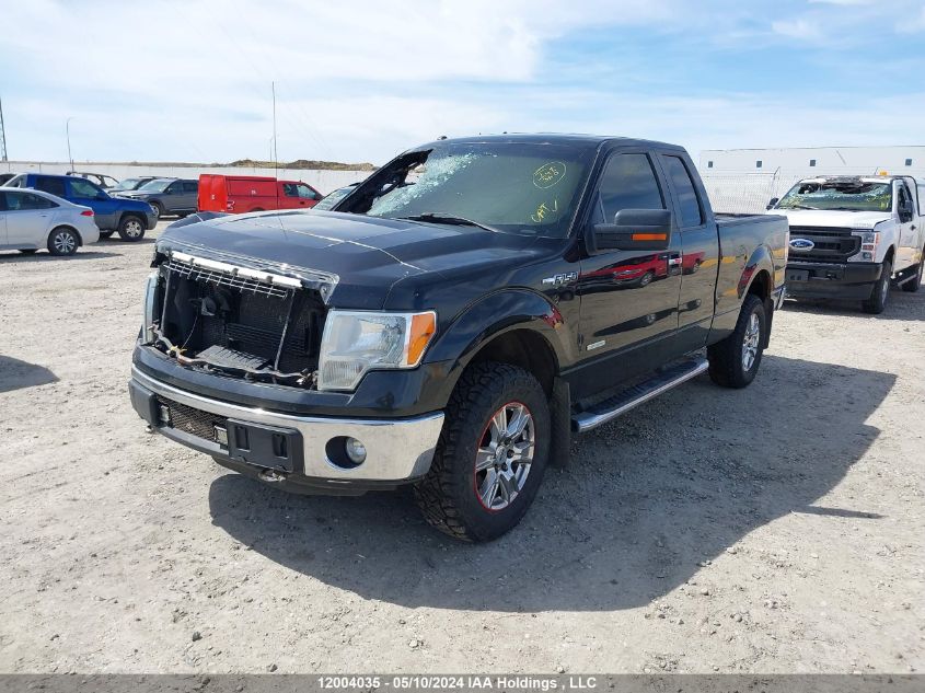 2013 Ford F-150 Xlt VIN: 1FTFX1ETXDFB32927 Lot: 12004035