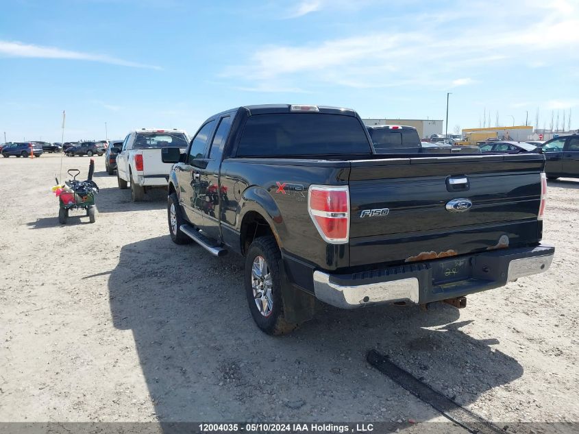 2013 Ford F-150 Xlt VIN: 1FTFX1ETXDFB32927 Lot: 12004035