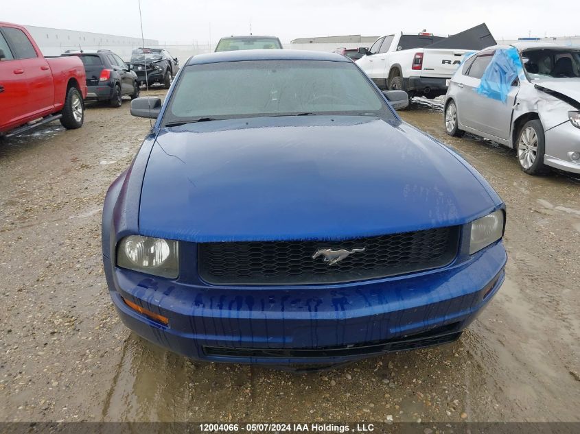 2006 Ford Mustang VIN: 1ZVFT80N165229744 Lot: 12004066