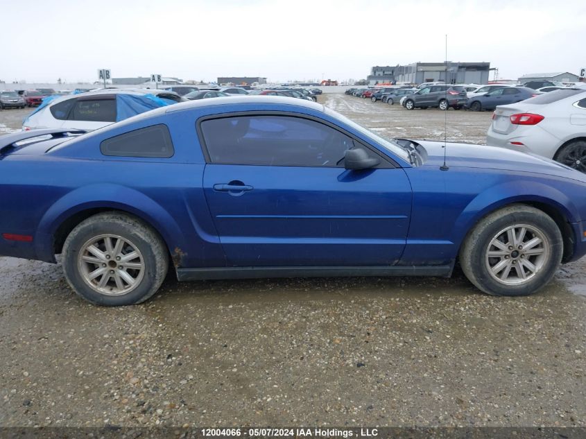 2006 Ford Mustang VIN: 1ZVFT80N165229744 Lot: 12004066