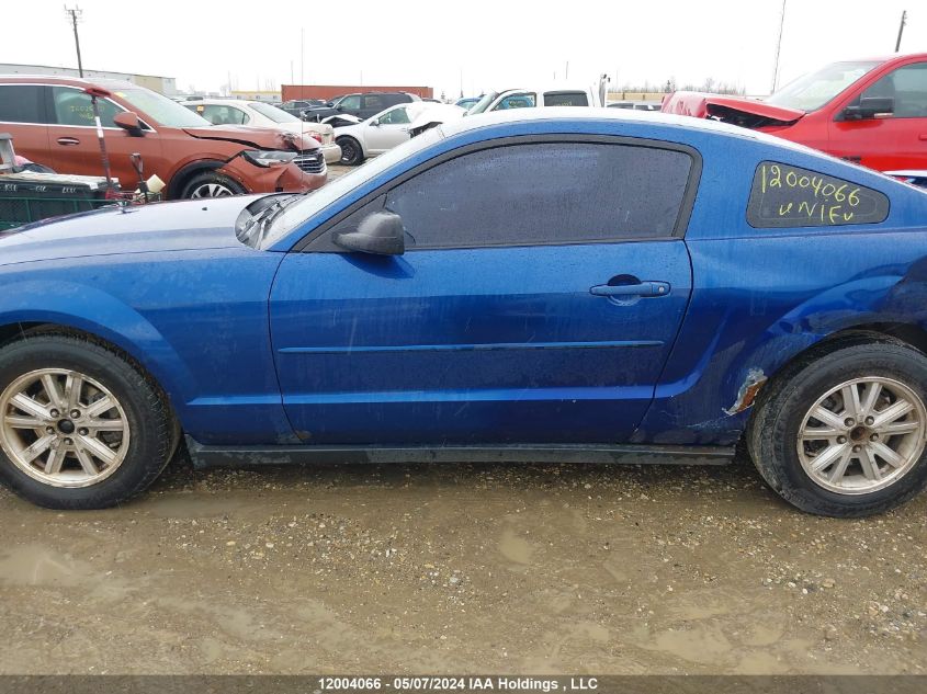 2006 Ford Mustang VIN: 1ZVFT80N165229744 Lot: 12004066