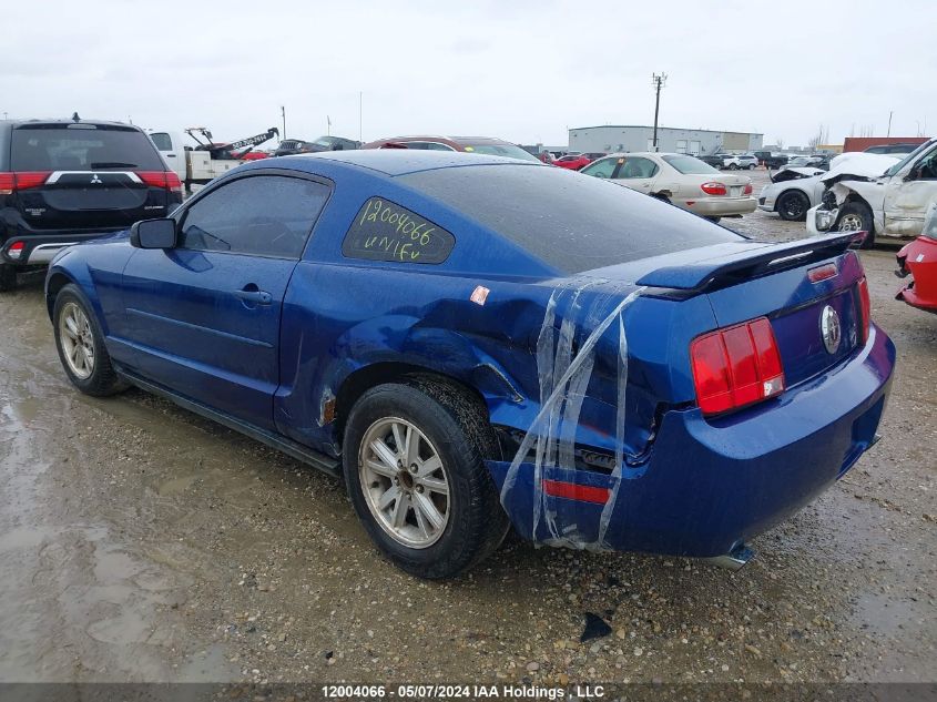 2006 Ford Mustang VIN: 1ZVFT80N165229744 Lot: 12004066