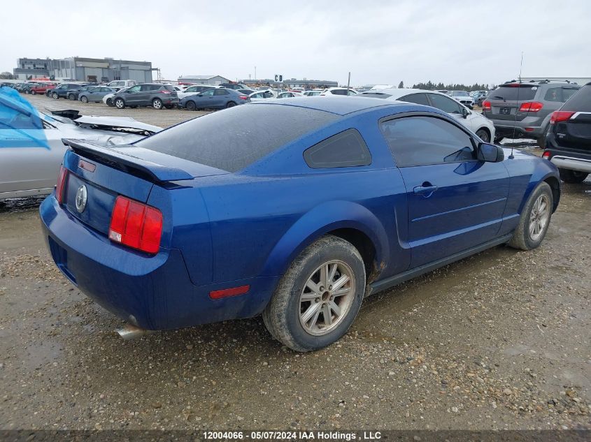 2006 Ford Mustang VIN: 1ZVFT80N165229744 Lot: 12004066