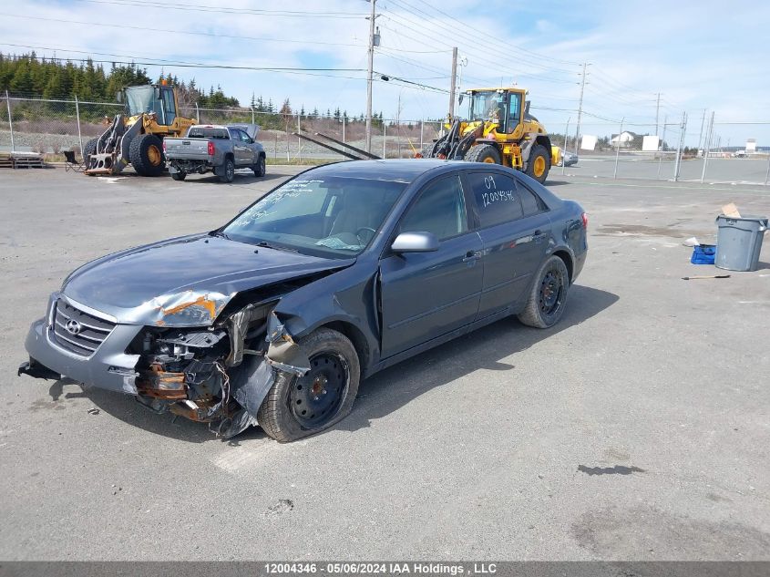 2009 Hyundai Sonata VIN: 5NPET46FX9H567011 Lot: 12004346