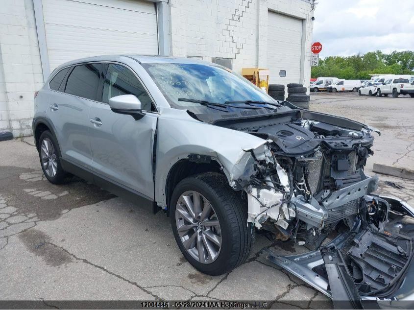 2023 Mazda Cx-9 VIN: JM3TCBCY2P0646871 Lot: 12004446