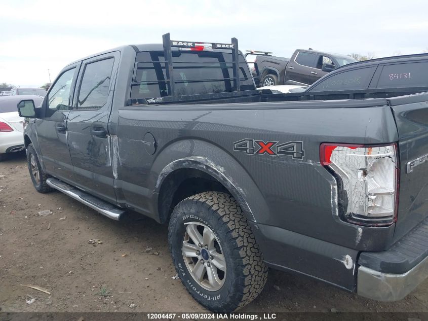 2016 Ford F-150 Xlt VIN: 1FTFW1EF9GFC02466 Lot: 12004457