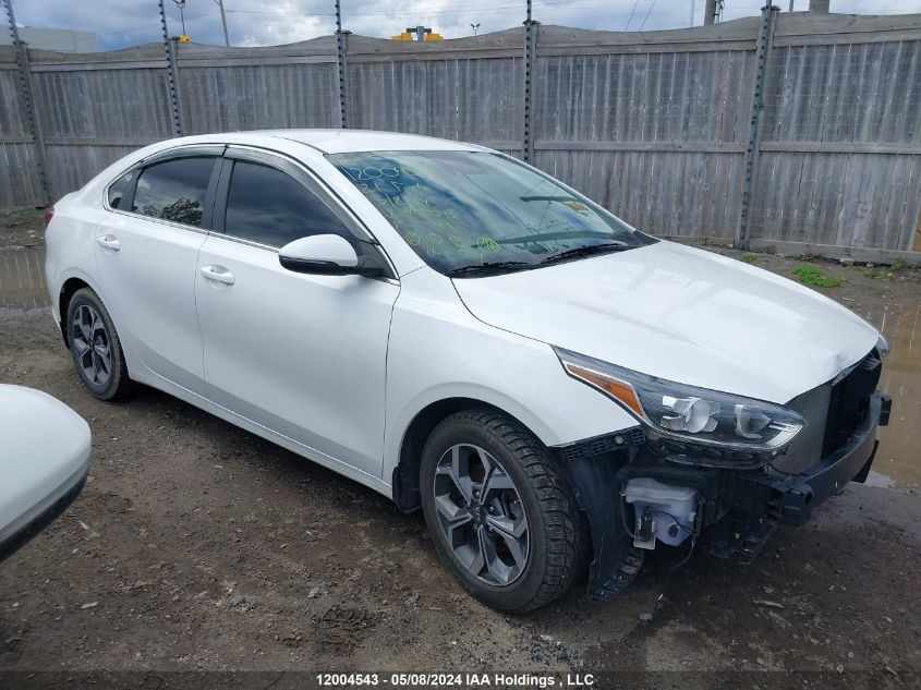 2021 Kia Forte VIN: 3KPF54AD1ME400392 Lot: 12004543