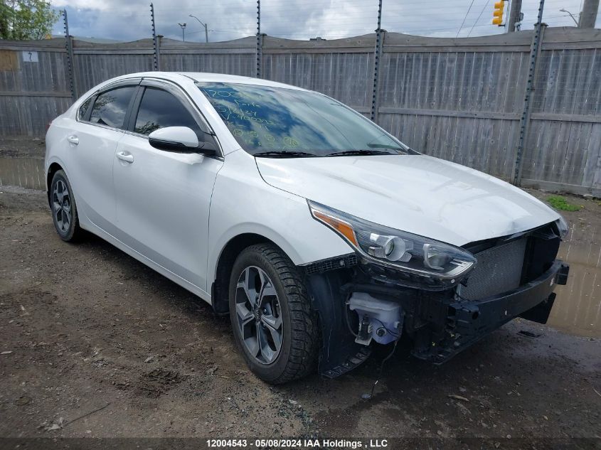 2021 Kia Forte VIN: 3KPF54AD1ME400392 Lot: 12004543