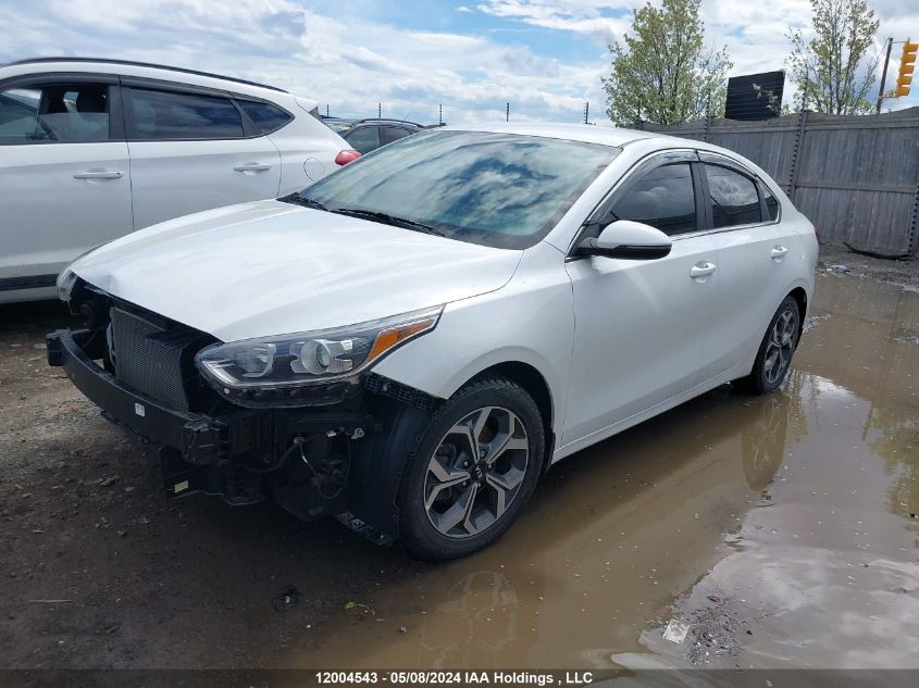 2021 Kia Forte VIN: 3KPF54AD1ME400392 Lot: 12004543