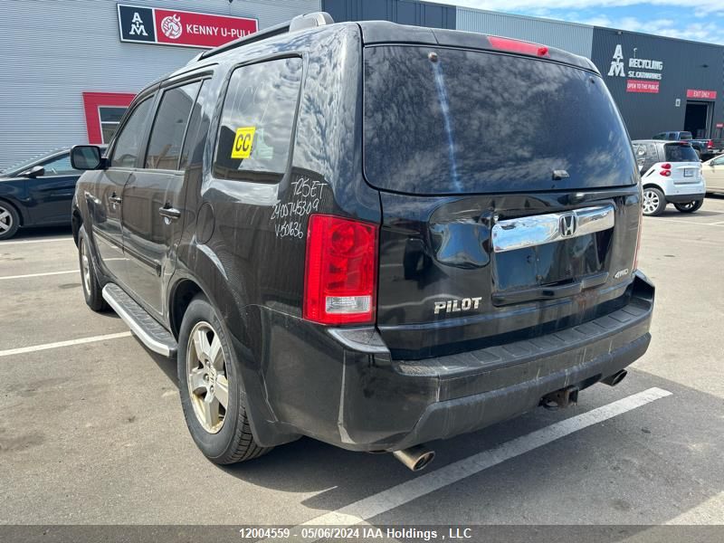 2009 Honda Pilot Exl VIN: 5FNYF48669B501636 Lot: 12004559