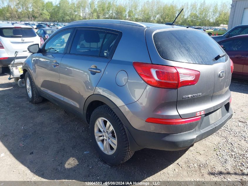 2013 Kia Sportage VIN: KNDPB3A20D7533019 Lot: 12004583