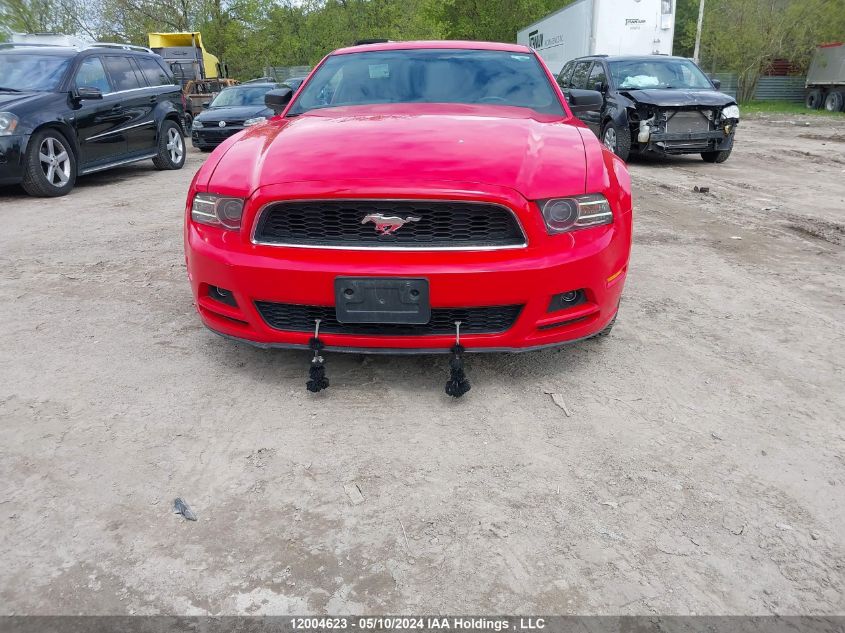 2014 Ford Mustang V6 VIN: 1ZVBP8AMXE5307686 Lot: 12004623