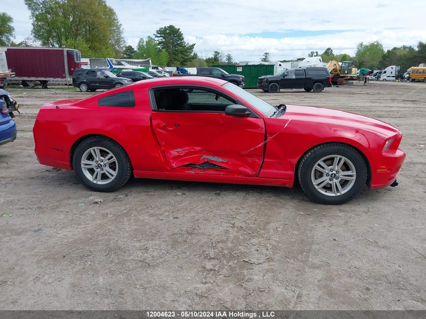 2014 Ford Mustang V6 VIN: 1ZVBP8AMXE5307686 Lot: 12004623