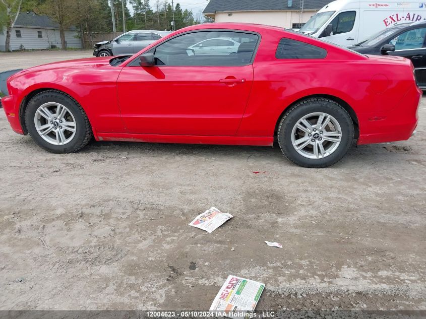 2014 Ford Mustang V6 VIN: 1ZVBP8AMXE5307686 Lot: 12004623