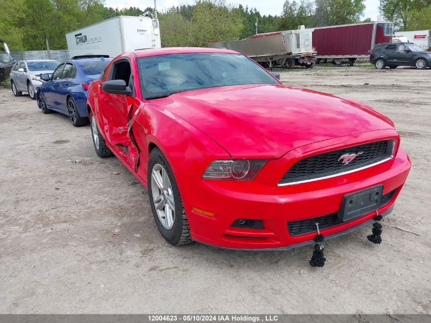 2014 Ford Mustang V6 VIN: 1ZVBP8AMXE5307686 Lot: 12004623