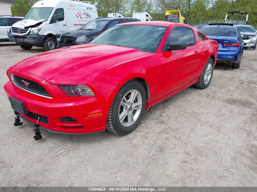 2014 Ford Mustang V6 VIN: 1ZVBP8AMXE5307686 Lot: 12004623