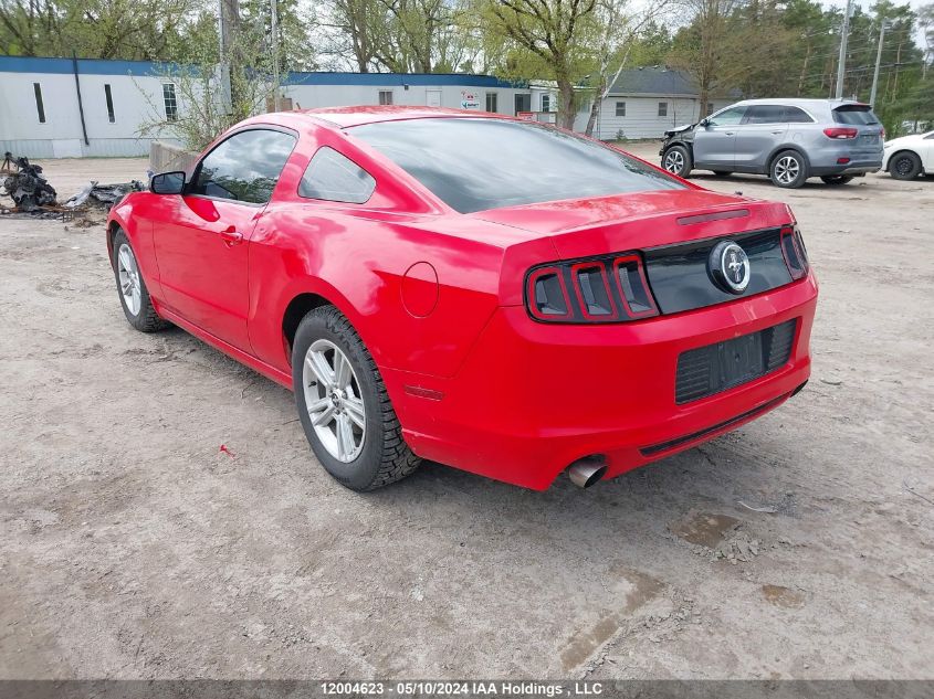 2014 Ford Mustang V6 VIN: 1ZVBP8AMXE5307686 Lot: 12004623