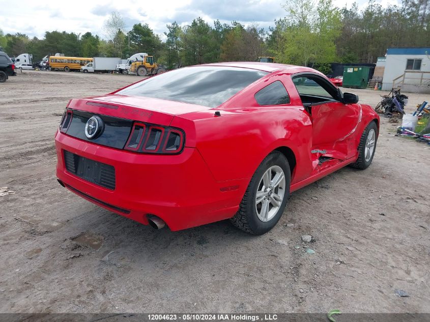 2014 Ford Mustang V6 VIN: 1ZVBP8AMXE5307686 Lot: 12004623