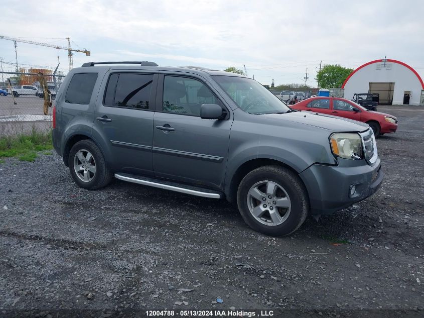 2009 Honda Pilot Exl VIN: 5FNYF48639B502078 Lot: 12004788