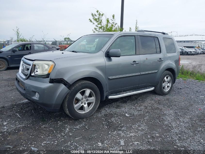 2009 Honda Pilot Exl VIN: 5FNYF48639B502078 Lot: 12004788