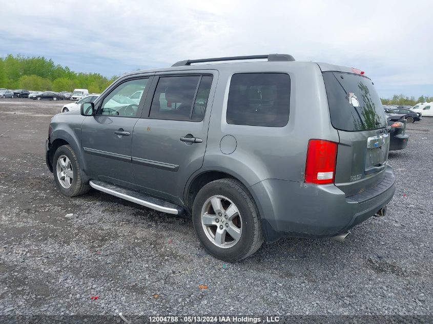 2009 Honda Pilot Exl VIN: 5FNYF48639B502078 Lot: 12004788