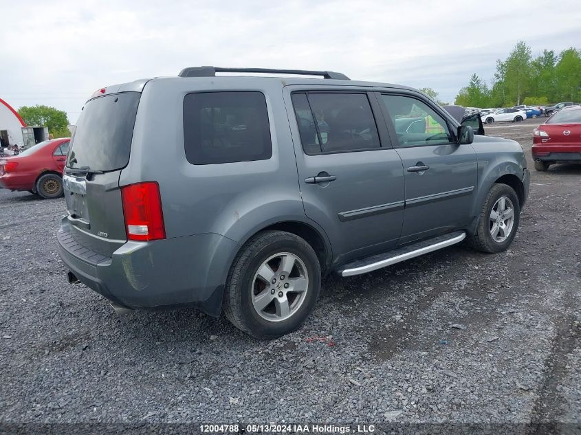 2009 Honda Pilot Exl VIN: 5FNYF48639B502078 Lot: 12004788