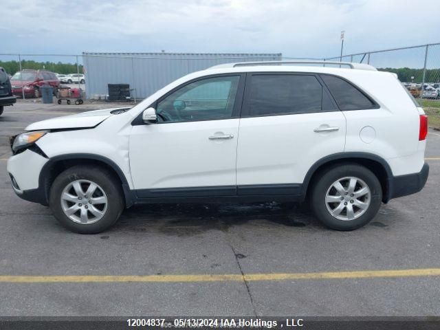 2013 Kia Sorento VIN: 5XYKT3A63DG392315 Lot: 12004837