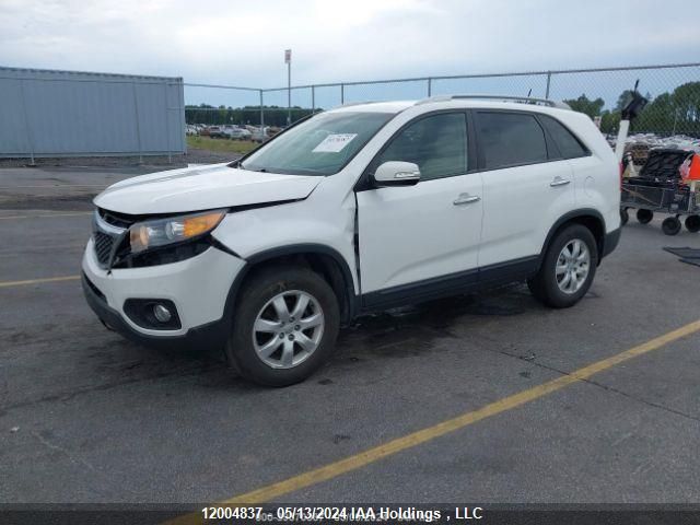 2013 Kia Sorento VIN: 5XYKT3A63DG392315 Lot: 12004837