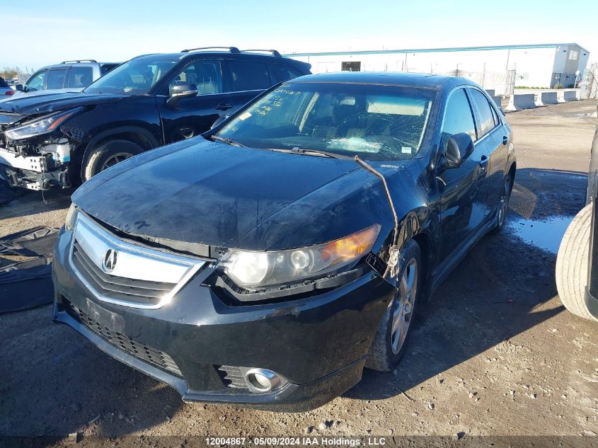 2012 Acura Tsx VIN: JH4CU2F49CC801356 Lot: 12004867