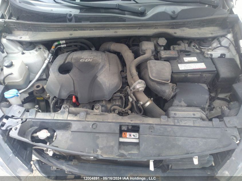 2014 Kia Sportage VIN: KNDPCCA65E7584226 Lot: 12004891