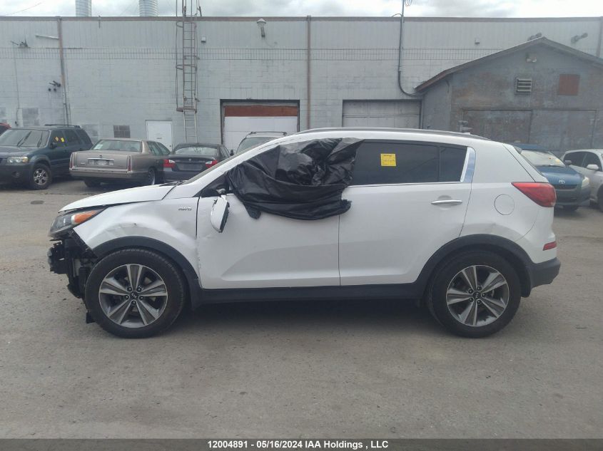 2014 Kia Sportage VIN: KNDPCCA65E7584226 Lot: 12004891