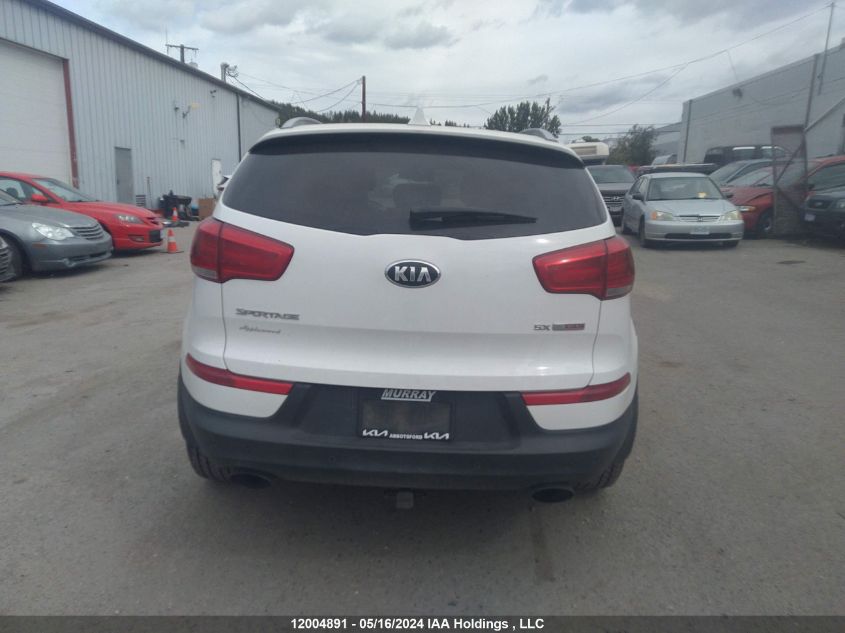 2014 Kia Sportage VIN: KNDPCCA65E7584226 Lot: 12004891