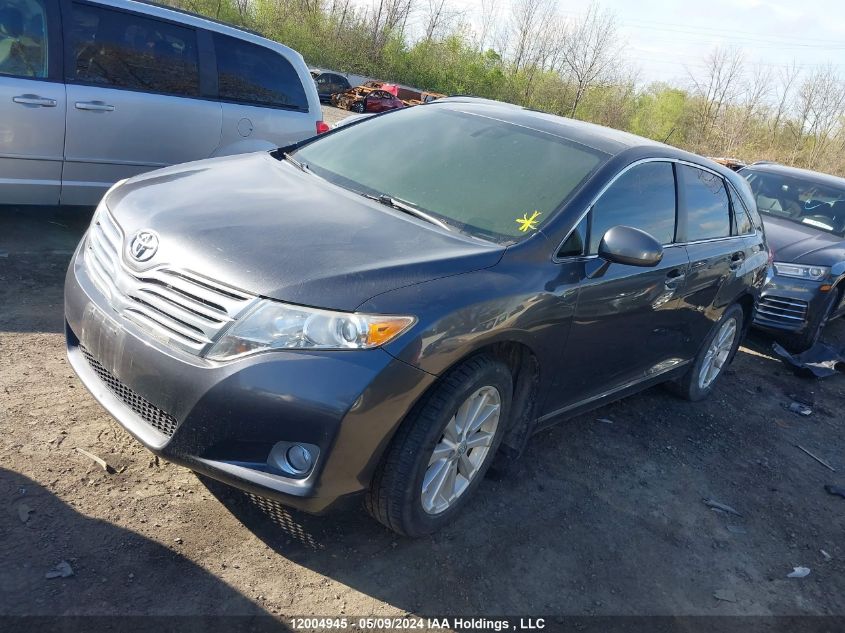 2010 Toyota Venza VIN: 4T3BA3BB6AU014682 Lot: 12004945