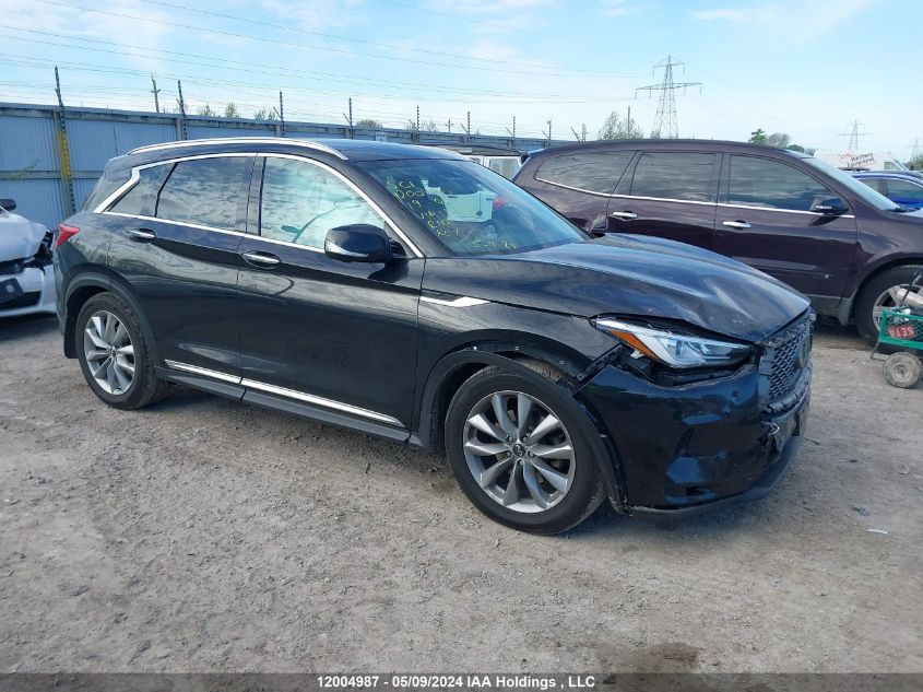 2019 Infiniti Qx50 VIN: 3PCAJ5M35KF128807 Lot: 12004987