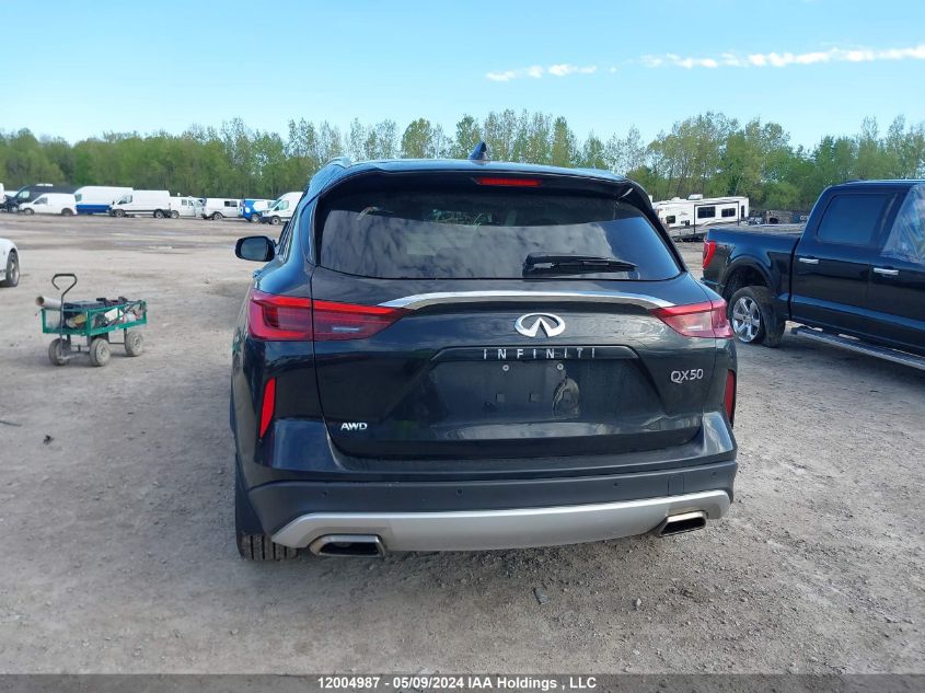 2019 Infiniti Qx50 VIN: 3PCAJ5M35KF128807 Lot: 12004987