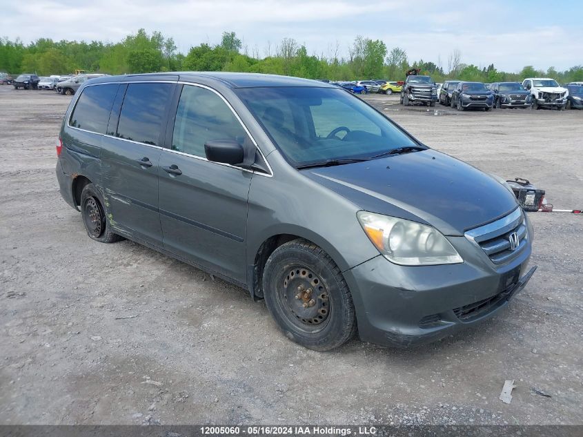 2007 Honda Odyssey VIN: 5FNRL382X7B501236 Lot: 12005060