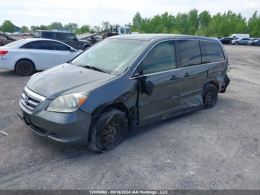 2007 Honda Odyssey VIN: 5FNRL382X7B501236 Lot: 12005060