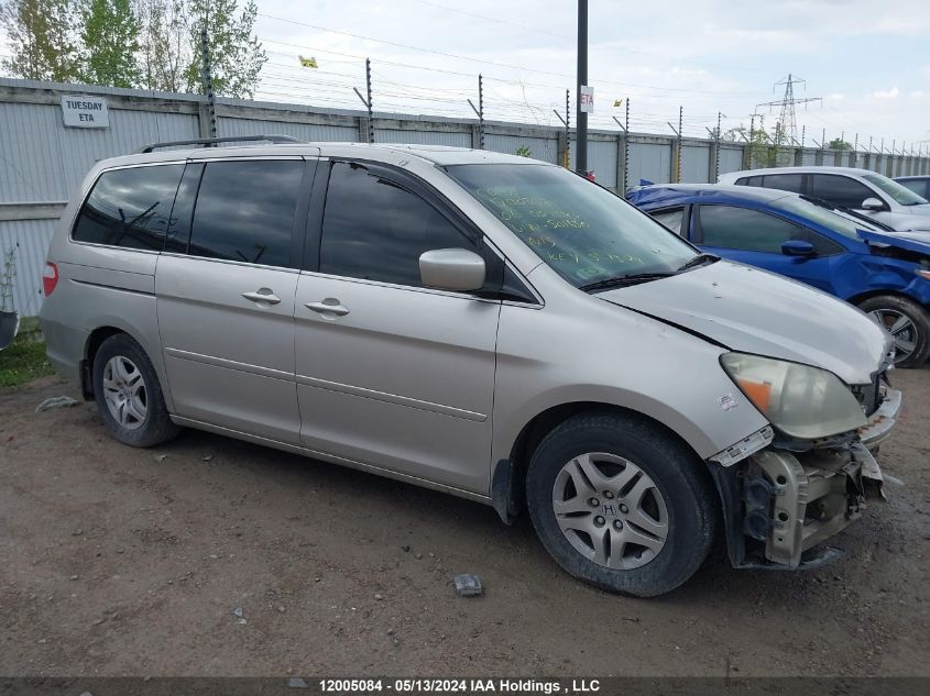 2006 Honda Odyssey Ex-L VIN: 5FNRL38616B501630 Lot: 12005084