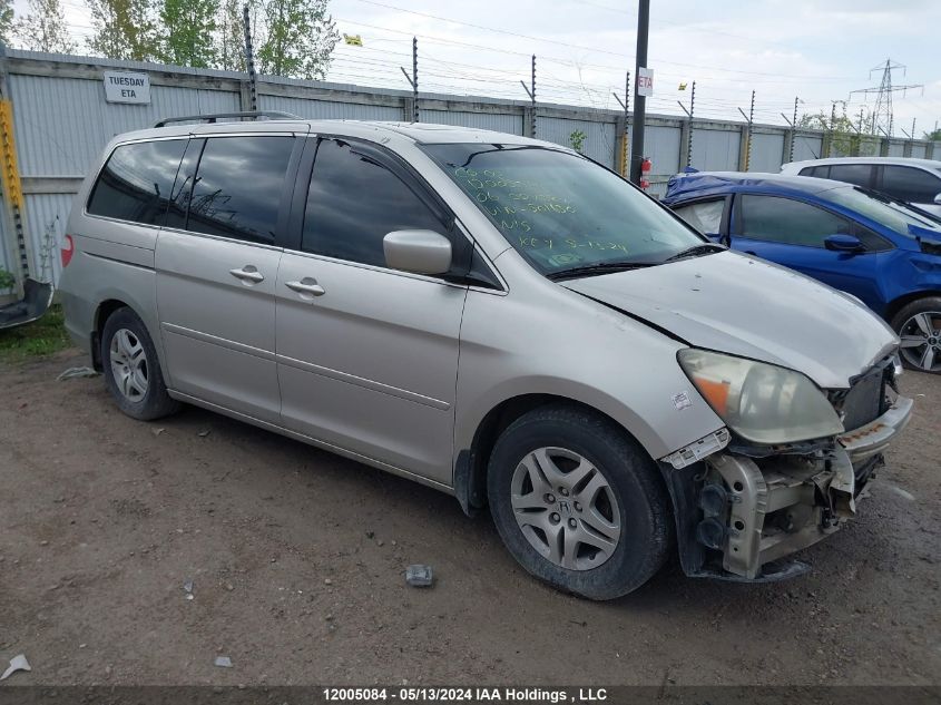 2006 Honda Odyssey Ex-L VIN: 5FNRL38616B501630 Lot: 12005084